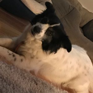 Meet your Posher, Zoe